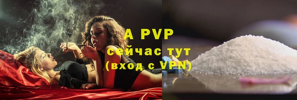 индика Белоозёрский