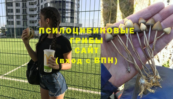 индика Белоозёрский