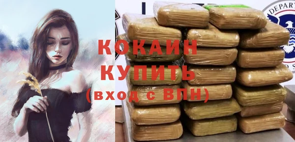 индика Белоозёрский
