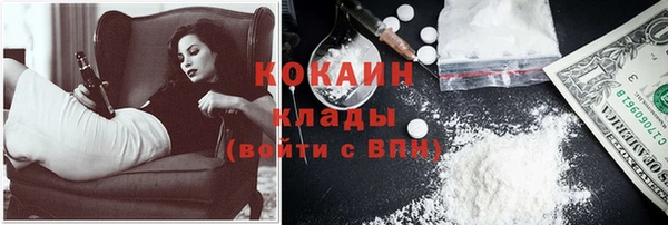 индика Белоозёрский